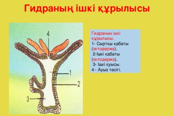 Кракен онион kraken clear com